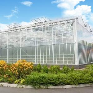 Wholesale Eco-Friendly Multi Span Glass Greenhouse Customization and Estimated Delivery Time from china suppliers