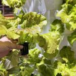 65L 14 Layer 112 Plant Holes Customize The Layer Number Hydroponic Growing