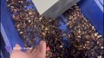 304 SS Stainless Steel High Capacity Cashew Sorting Machine with 12 Smart