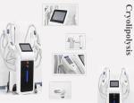 OEM and ODＭ service body slimming cryoliplysis fat reduction machine