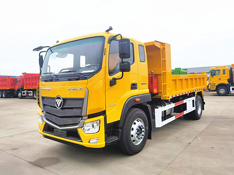 Foton 10tons dump truck light cargo truck small tipper truck left and right hand drive with good price