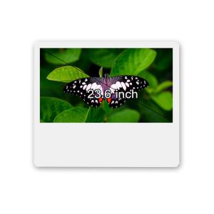 Wholesale Horizontal 23.6 Inch LCD Digital Signage WIFI USB 1920x1080 250 Nits Android 8.0 from china suppliers