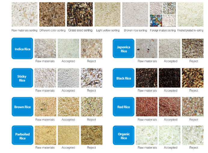 Dreamplus Rice Color Sorter High Accuracy 99.99% Sorting Machine
