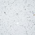 Immaculate Custom Sized 15 MM Paper White Recycled Glass Quartz Kitchen
