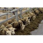 Q235 Low Carbon Steel 's Steel Farming Solution for Effective and Secure Animal