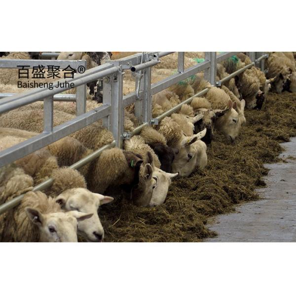 Q235 Low Carbon Steel 's Steel Farming Solution for Effective and Secure Animal