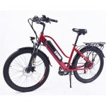 350W E Bike Urban Commuting Multimode With Dual Shock Absorber
