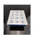 12 keys Panel mounted stainless steel illuminanted keypad with male pin out
