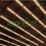 Hydroponic 10 Light Strips 1000W LED Grow Light Kit