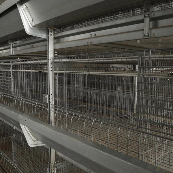 Wholesale CE Livestock 50000 Birds Automatic Layer Poultry Equipment Trolley Feeding from china suppliers