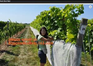 Wholesale Hot Selling Greenhouse Anti Insect Netting with Competitive Price,virgin hdpe anti insect net for agriculture, BAGPLASTI from china suppliers
