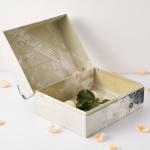Eco-Friendly Portable Rigid Paper Storage Gift Box Packaging with Light Weight