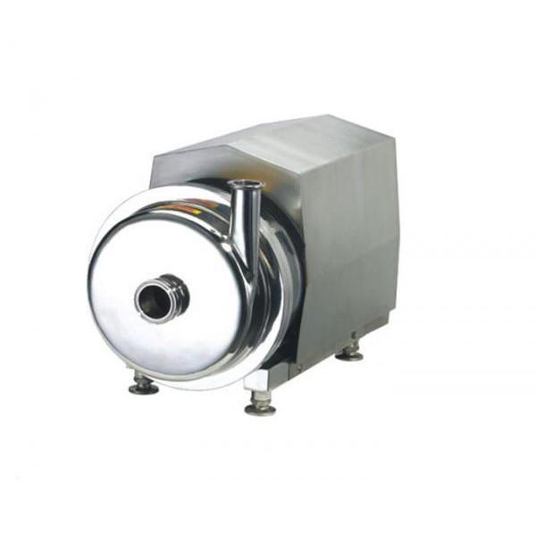 High Efficiency Stainless Steel Sanitary Pump Self Priming 1.4301/304 1.4404