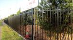 PVC Coated Ornamental Spear Top Security Steel Tubular Fence in Garden, Home,