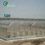 Large-Scale Farming Container with Multi-Span Agricultural Greenhouses