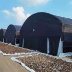 Tunnel Polyethylene Foil Greenhouse For Mushroom Low Transmission Black And