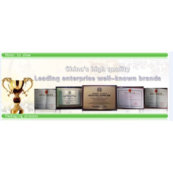 Original FZ1200R16KF4_S1 IGBT Module for Electronics in Stock