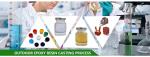 Excellent UV Heat Shock Resistance Room Temperature Epoxy for Electric