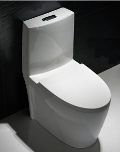 Wholesale One Piece Round Toilet Dual Flush Single Piece Commode Flush Tank 12 Rough In from china suppliers