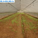 Drip Greenhouse Sprinkler System For Agriculture PVC Pipe Material Multi Length