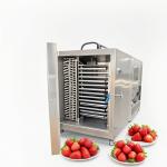 50kg Commercial Freeze Dryer Industrial Lyophilizer For Coffee / Vegetable /