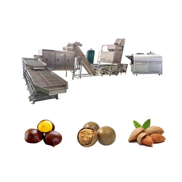 Restaurant Fully Automatic Nut Snack Single Double Rotary Roller Seasoning
