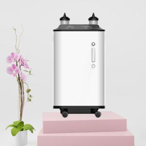 Wholesale 1l 5l 10l Household Oxygen Generator Medical Home Care Physical Therapy from china suppliers