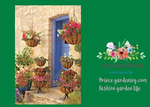 Wholesale Wall Wire Hanging Flower Baskets With Recycled Post Consumer Plastic Liner from china suppliers
