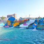 Sturdy Summer Kids And Adults Amusement Park Water Slide Fade Resistance