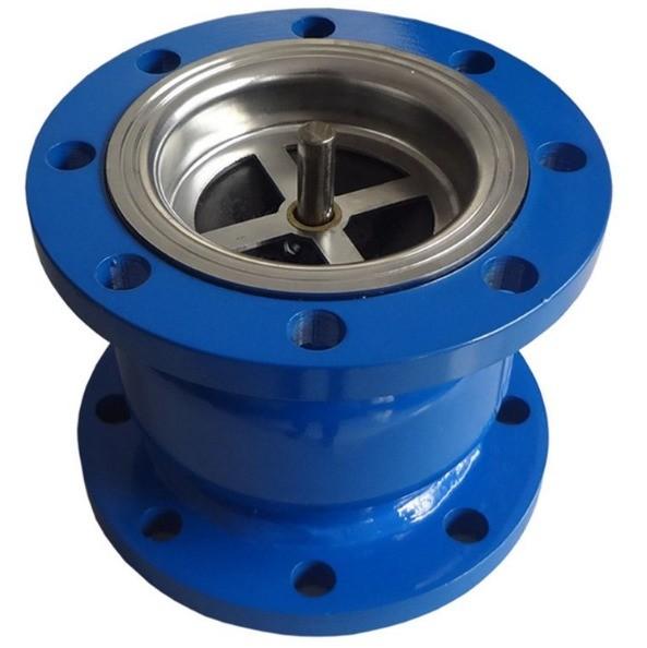 DI Water Stainless Steel Ductile Iron Cast Iron Spring Silent Silencing Silence