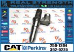 Caterpillar Injector 250-1304 386-1769 392-0201 392-0206 150-4453 162-8809 162