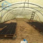 Single Layer Polyethylene Film Greenhouse Steel Structure Anti Rust