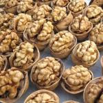 Chinese Factory bulk sale high-quality Xinjiang big walnuts in shelled and dried