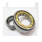 NU1021 NSK Cylindrical Roller Bearing For Vibrating Screens Lifting