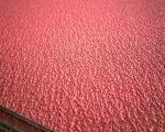 Eco Zirconia Alumina Grain Abrasive Cloth Rolls Grit P24-120 for Cast iron
