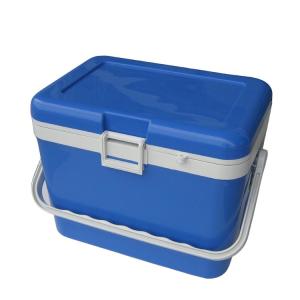 Wholesale Food Grade Resin 17L Fruit Fresh Insulated Cool Box For Vaccines Corrosion Resistance from china suppliers