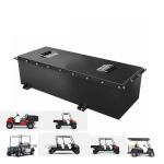 OEM ODM LiFePO4 lithium battery pack golf cart battery 48V golf cart lithium