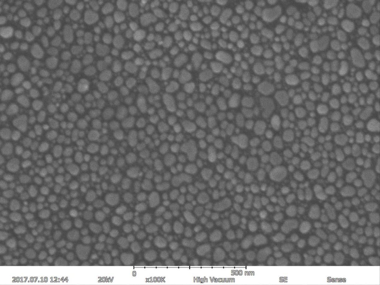 Magnification Max 150000X Scanning Electron Microscope 5nm Resolution EDS BSE