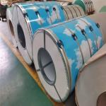 Factory hot sale ral9002 ppgi coil dx51 1219mm 1500mm width color coated