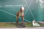 Snow Proof Animatronic Dinosaur Life Size 110V / 220V AC Powered