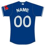Powersports 300gsm Personalized Baseball Jerseys Uniforms Custom Design