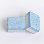 Spot Cleaning Effervescent Dishwasher Tablets Plastic Free Decontamination Block