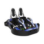 175Kg Fast Track 2 Seater Go Kart For Adults 2010*1550*590 Mm