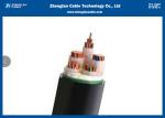 Fire Resistant Cables / Electrical Cable with Low Voltage (0.6kv/1kv )XLPE
