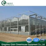Vegetable Fruits Flowers Tomatoes Hot Galvanizing Aluminum Steel Structure