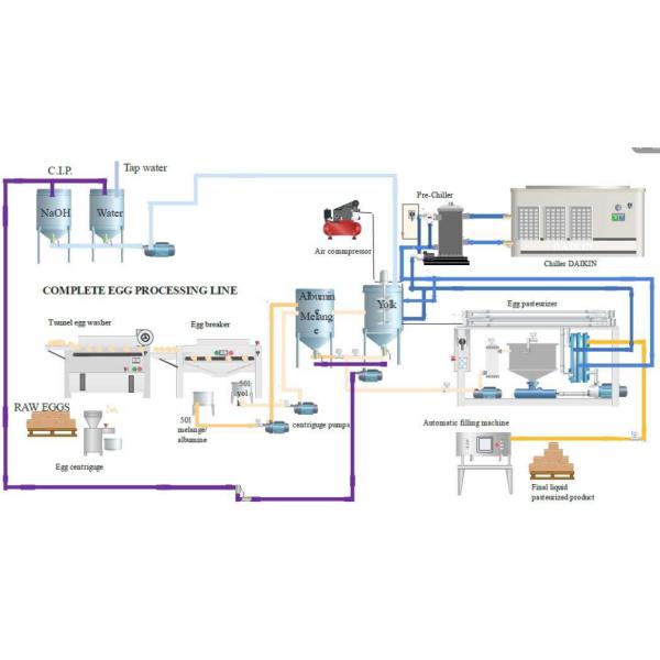 High Efficiency Pasteurized Liquid Egg Processing Line