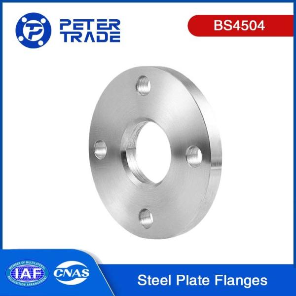 British Standard BS4504 CODE101 Pipe Fittings Flange Plate Blank Flange DN10 To