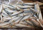 A Grade 50g-60g Pacific Mackerel Fresh Frozen Seafood
