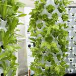 65L 14 Layers 112 Plant Holes PP Indoor Hydroponic Tower System With 6 Pieces
