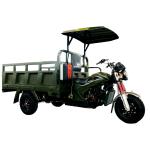 DAYANG 200cc/250cc/300cc Cargo Tricycle for Passenger Transport in Tanzania and